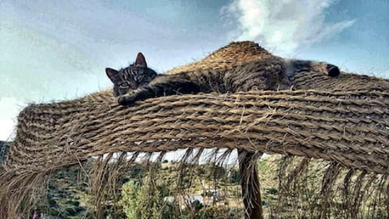 Bed & Breakfast Alegria Y Luna Bed & Breakfast Sorbas Dış mekan fotoğraf