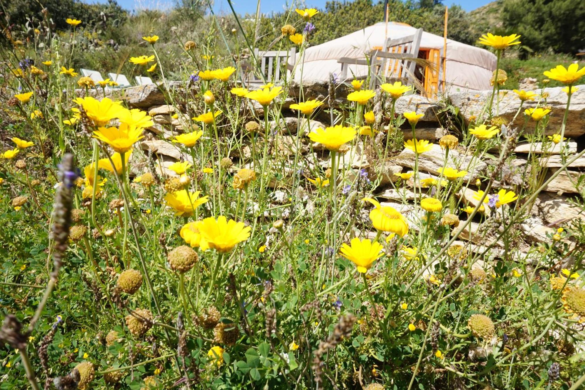 Bed & Breakfast Alegria Y Luna Bed & Breakfast Sorbas Dış mekan fotoğraf